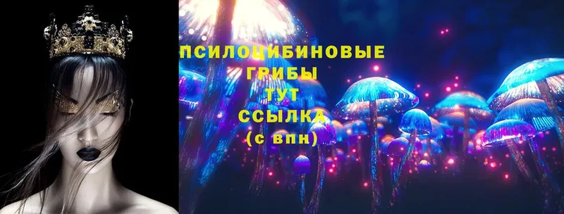 Псилоцибиновые грибы Psilocybe  закладки  Пятигорск 